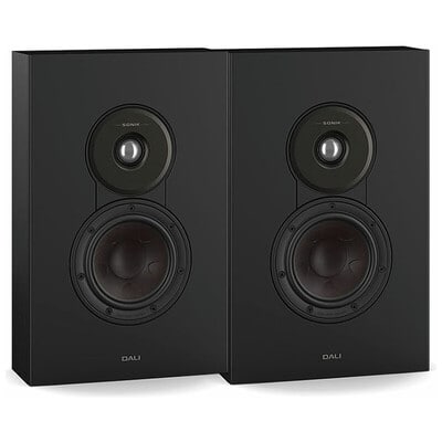 SONIK ON -WALL Black Ash [SONIK/ONWALL/BA]（2026年3月3日発売予定）