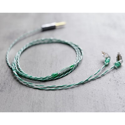 Agave Lily / WAGNUS. Original 4.4mm 5-pole Plug EIR - “ORO” / Custom 2pin / NDT製法仕様 ロゴ&イヤーコネクタアートワーク