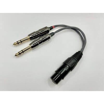 ROBIN XLR