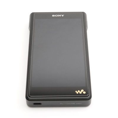 ⭐︎SONY NW-WM1AM2 中古美品(ニンニクともひろ様専用)⭐︎