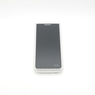 NW-ZX507/SM