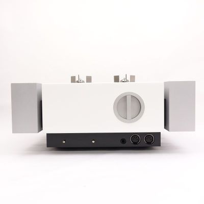 InPol EAR with DAC WH