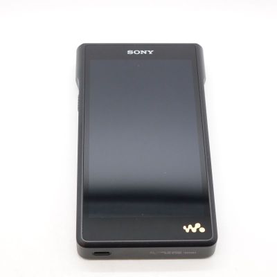 NW-WM1AM2 [NW-WM1AM2 C]