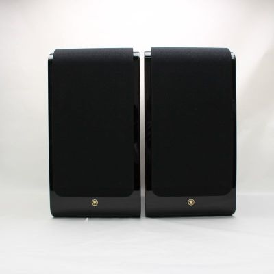 NS-600A(BP)