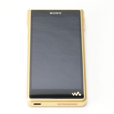 NW-WM1ZM2 [NW-WM1ZM2 C]