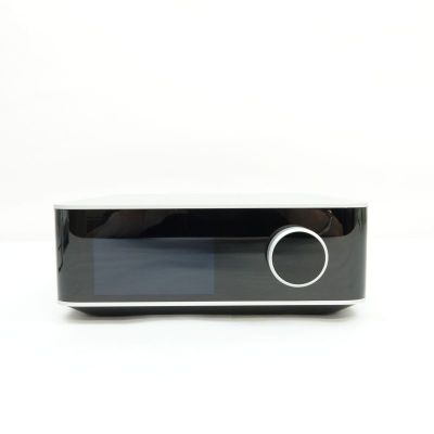 WiiM Amp Ultra Silver [WIM-WAMPULTRA-SV]