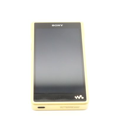 NW-WM1ZM2 [NW-WM1ZM2 C]