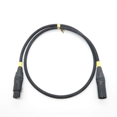 DIGITAL-1.0X TripleC-FM