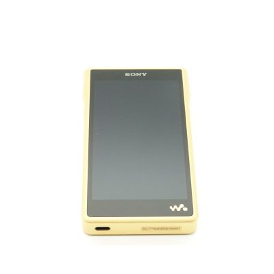 NW-WM1ZM2 [NW-WM1ZM2 C]