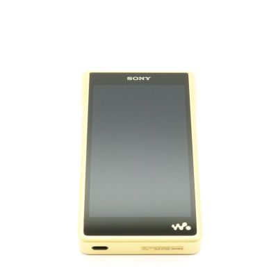 NW-WM1ZM2 [NW-WM1ZM2 C]