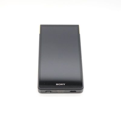 最安価　即日配送　ディセクション・エンジェル FFR SONY NW-ZX707 中古 240004012185｜中古通販フジヤエービック