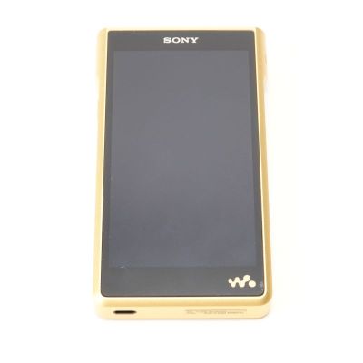 NW-WM1ZM2 [NW-WM1ZM2 C]