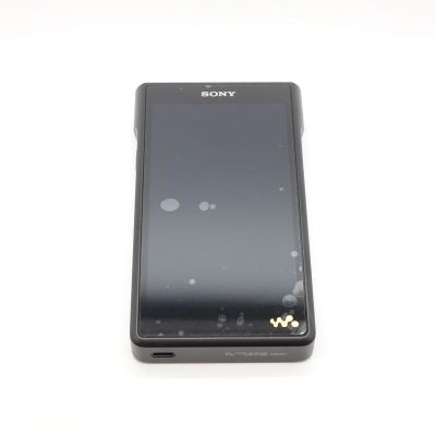 NW-WM1AM2 [NW-WM1AM2 C]