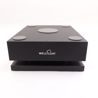 WELLFLOAT BW001-TYPE1