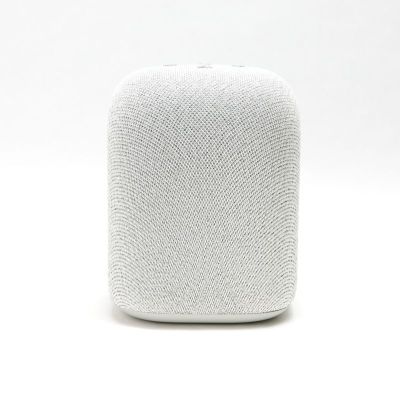 LinkBuds Speaker (Light Gray) [SRS-LS1 H]