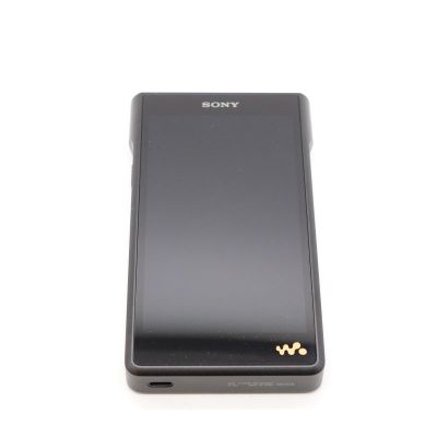 NW-WM1AM2 [NW-WM1AM2 C]