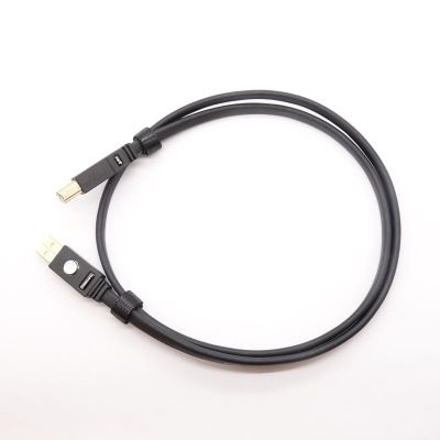 UA1-P010