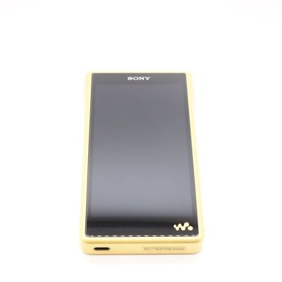 NW-WM1ZM2 [NW-WM1ZM2 C]