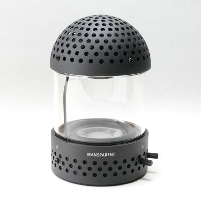 Light Speaker (B)